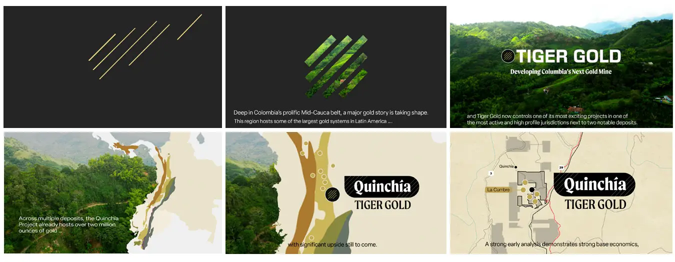 tiger-gold